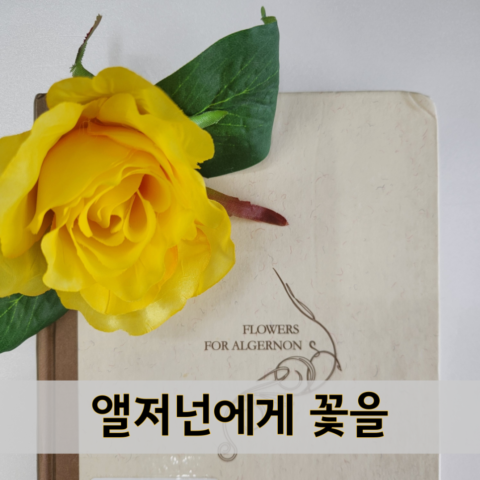 앨저넌에게 꽃을. 줄거리 요약